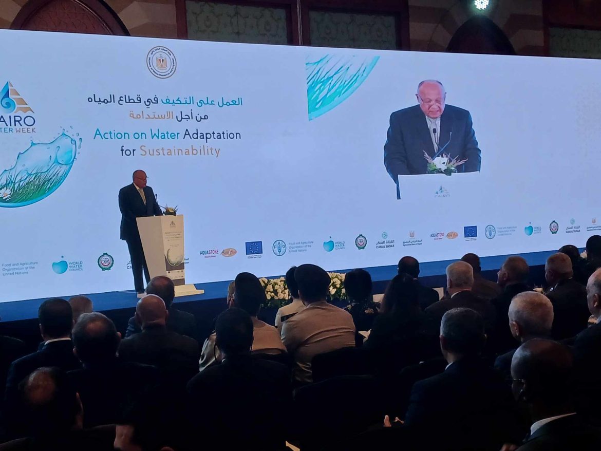 وزير الخارجية