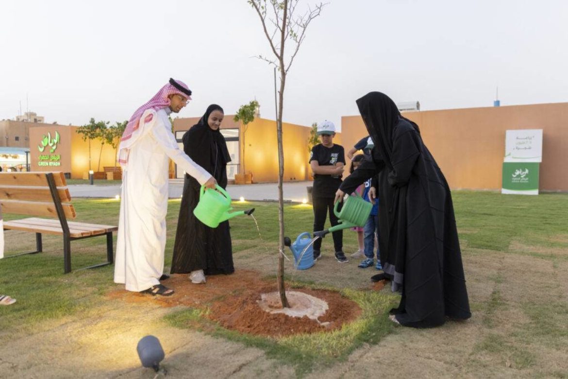 البرنامج الوطني للتشجير