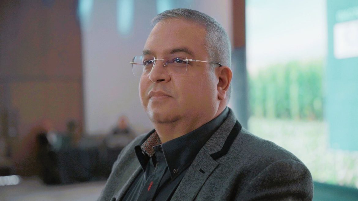 أصناف ديكالب