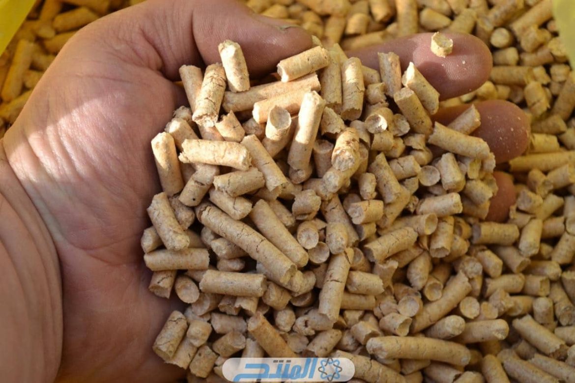 كيفية حساب الطاقة والبروتين في علف التسمين